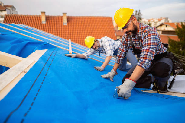 Best Flat Roof Repair Services  in Pine Lakes, FL