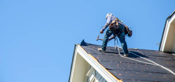 Best Roof Gutter Cleaning  in Pine Lakes, FL